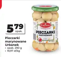 Odido Pieczarki Urbanek oferta
