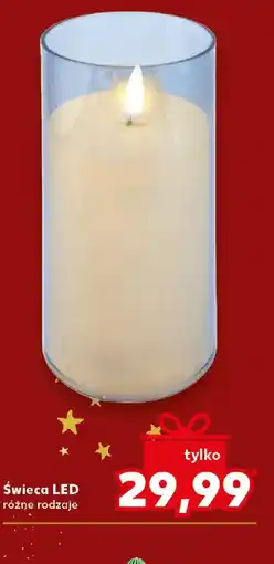 Kaufland Swieca LED oferta