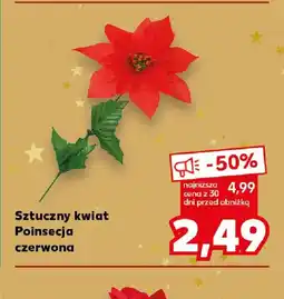 Kaufland Sztuczny kwiat Poinsecja oferta