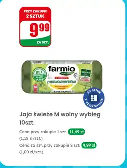 Dino Jaja świeże M wolny wybieg Farmio 10szt oferta
