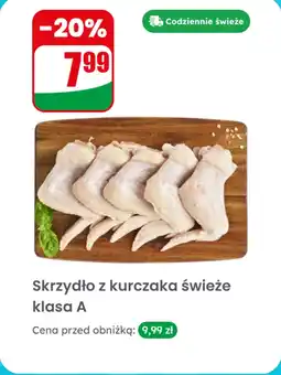 Dino Skrzydło z kurczaka świeże klasa A Dino oferta