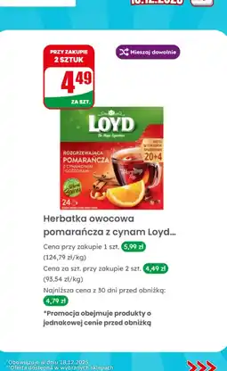 Dino Herbatka owocowa pomarańcza z cynamonem i goździkami Loyd oferta