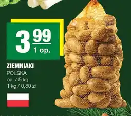Spar Ziemniaki Polska SPAR oferta