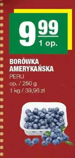 Spar Borówka amerykańska Peru SPAR oferta