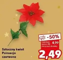 Kaufland Sztuczny kwiat Poinsecja czerwona oferta