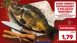 Kaufland Karp patroszony Kaufland oferta