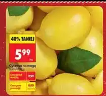 Biedronka Cytryny na wagę oferta