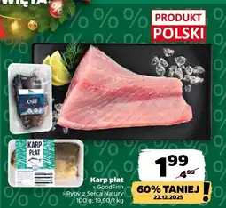 Netto Karp płat Ryby z Serc Natury oferta