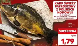 Kaufland Karp patroszony oferta