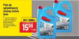 Polomarket Płyn do spryskiwaczy zimowy Active Auto oferta