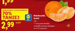 Lidl Mandarynki, luzem Lidl oferta