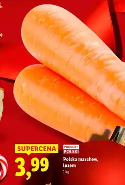 Lidl Marchew polska, luzem Lidl oferta