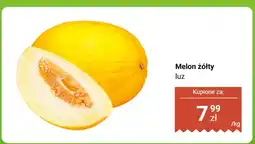 Biedronka Melon żółty luz Biedronka oferta