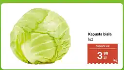 Biedronka Kapusta biała luz Biedronka oferta