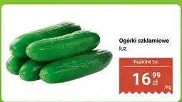 Biedronka Ogórki szklarniowe luz Biedronka oferta