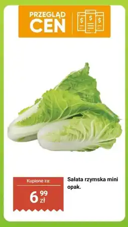 Biedronka Sałata rzymska mini opak. Biedronka oferta