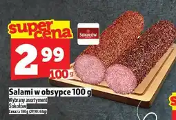 Topaz Salami w obsypce 100 g Sokołów oferta