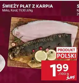 Stokrotka Świeży płat z karpia Mirko, Koral oferta