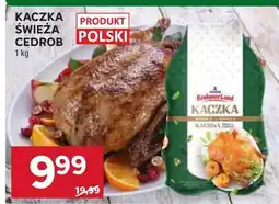 Stokrotka Kaczka świeża cedrob oferta