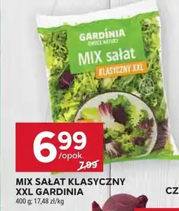 Stokrotka Mix sałat klasyczny XXL Gardinia oferta