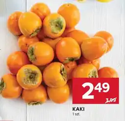 Stokrotka Kaki Stokrotka oferta