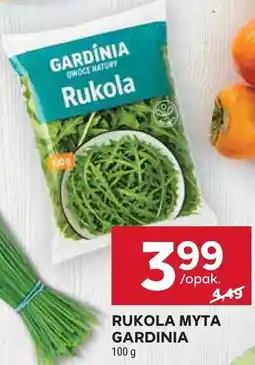 Stokrotka Rukola myta Gardinia oferta