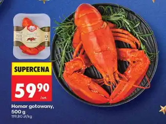 Biedronka Homar gotowany Biedronka oferta