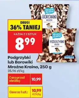 Biedronka Podgrzybki lub kurki Mrożna Kraina, 250 g oferta