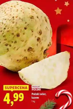 Lidl Polski seler, luzem (1 kg) oferta