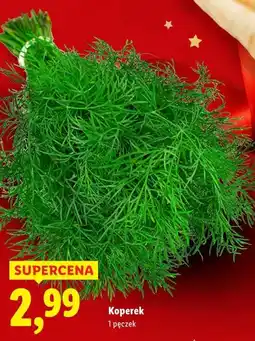 Lidl Koperek (1 pęczek) oferta