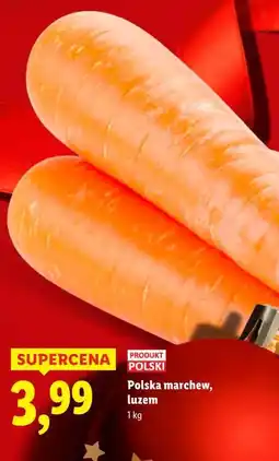 Lidl Polska marchew, luzem (1 kg) oferta