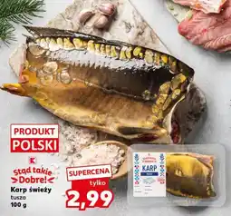 Kaufland Karp świeży tusza oferta