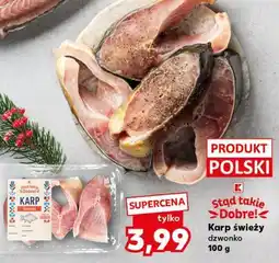 Kaufland Karp świeży dzwonko oferta