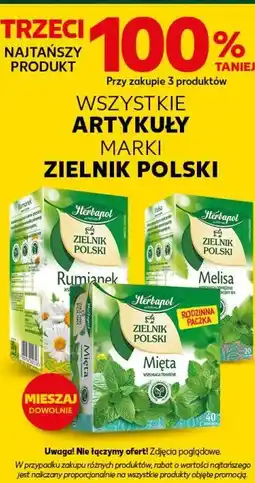 Kaufland Herbaty ziołowe Zieleń Polski (Mięta, Melisa, Rumianek) oferta