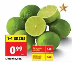 Biedronka Limonka, szt oferta
