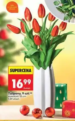 Biedronka Tulipany, 9 szt oferta