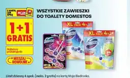 Biedronka Wszystkie zawieszki do toalety Domestos oferta