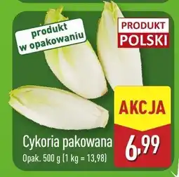 ALDI Cykoria pakowana Aldi oferta