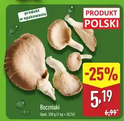 ALDI Boczniaki Aldi oferta