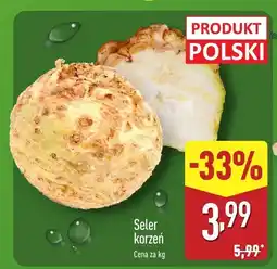 ALDI Seler korzeń Aldi oferta