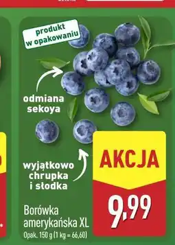 ALDI Borówka amerykańska XL oferta