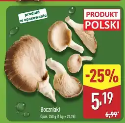 ALDI Boczniaki oferta