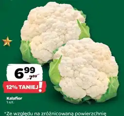 Netto Kalafior oferta