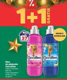 Netto Płyn do płukania Coccolino oferta