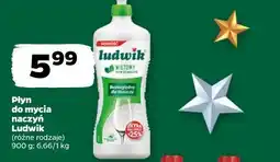 Netto Płyn do mycia naczyń Ludwik oferta