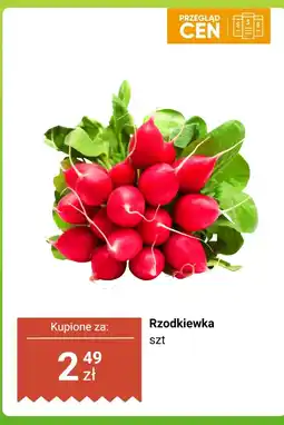 Dino Rzodkiewka pęczek Dino oferta