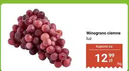 Dino Winogrono ciemne luz Dino oferta