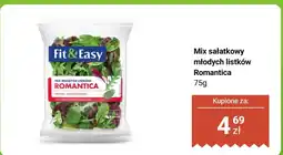Dino Mix sałatkowy młodych listków Romantica Fit&Easy oferta