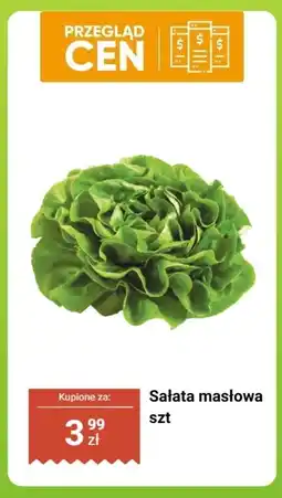 Dino Sałata masłowa 1 szt. Dino oferta