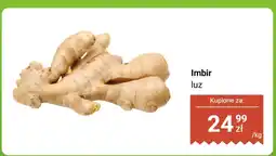 Dino Imbir luz Dino oferta